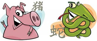 Кабан и Змея в китайской астрологии