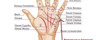 Линия брака на руке и ее особенности