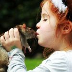Положительные черты характера ребенка в год Крысы