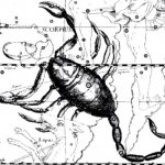 Созвездие Скорпиона. Иллюстрация из астрономического атласа «Уранография» Я. Гевелия.