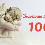 значение числа 100